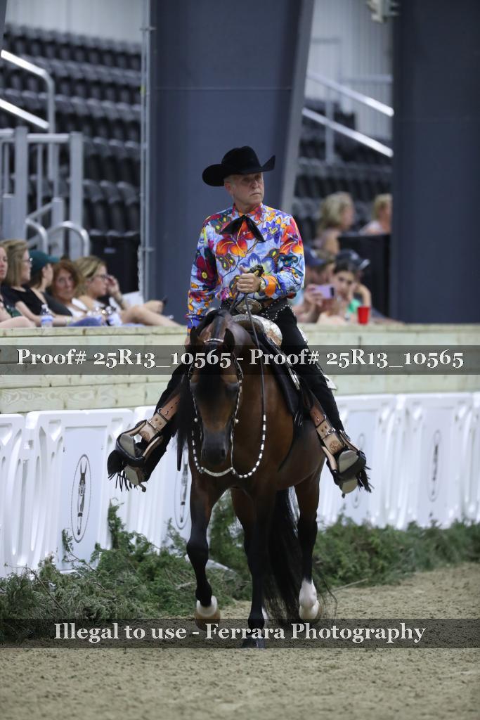 Proof Number 25R13_10565