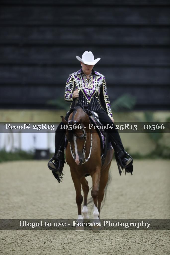 Proof Number 25R13_10566