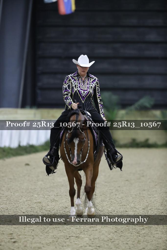 Proof Number 25R13_10567