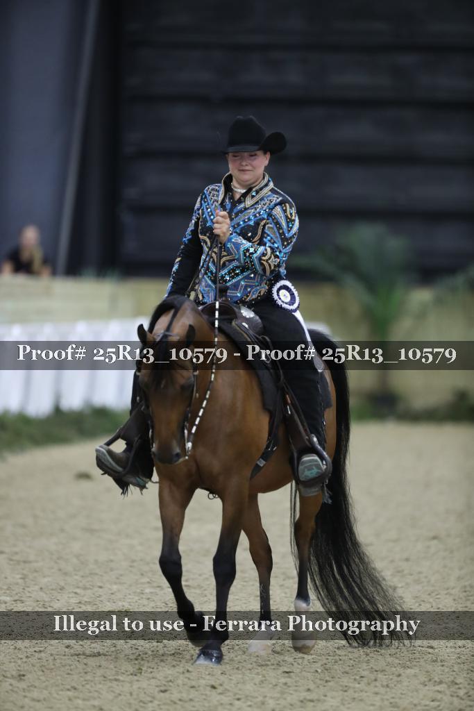 Proof Number 25R13_10579