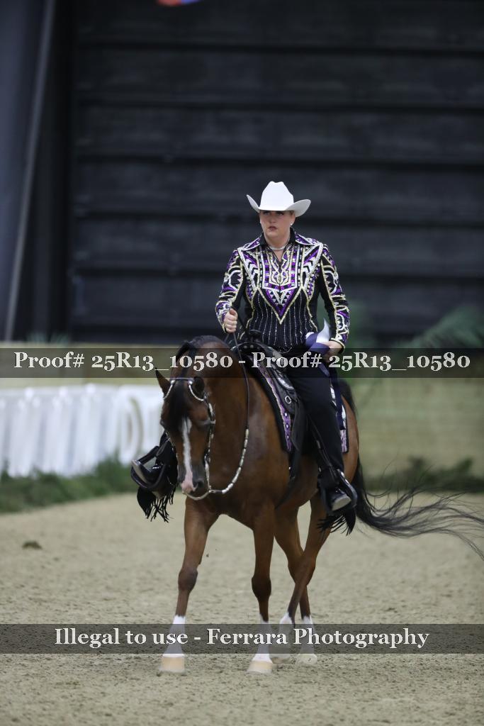 Proof Number 25R13_10580