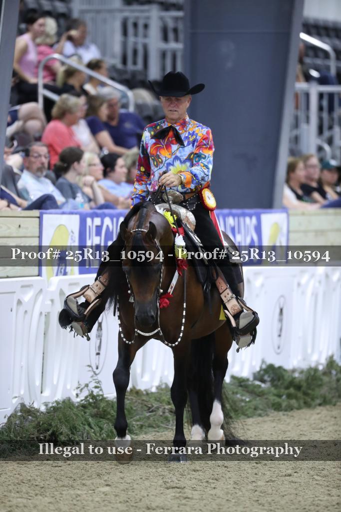 Proof Number 25R13_10594