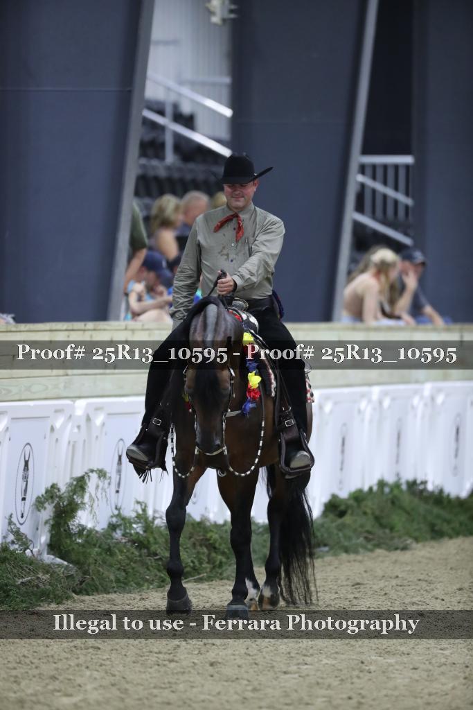 Proof Number 25R13_10595