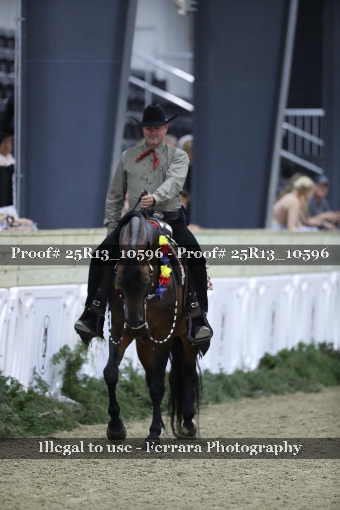 Proof Number 25R13_10596