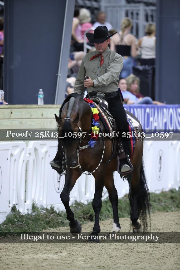 Proof Number 25R13_10597