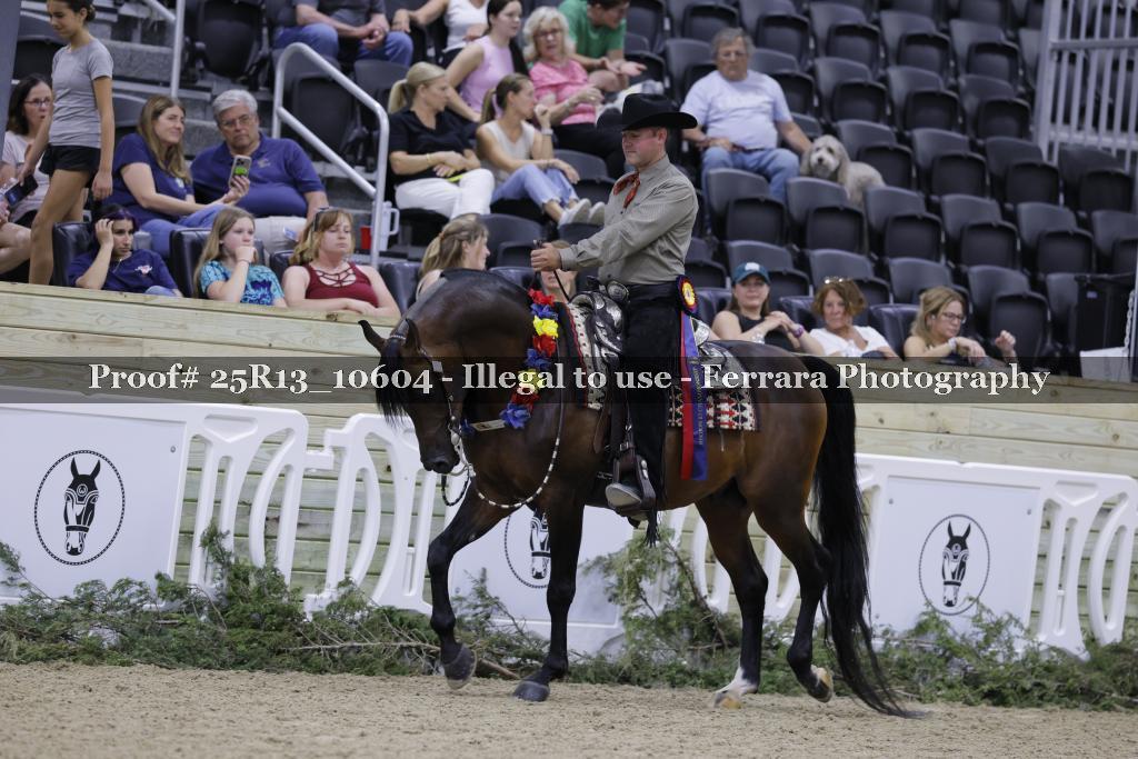 Proof Number 25R13_10604