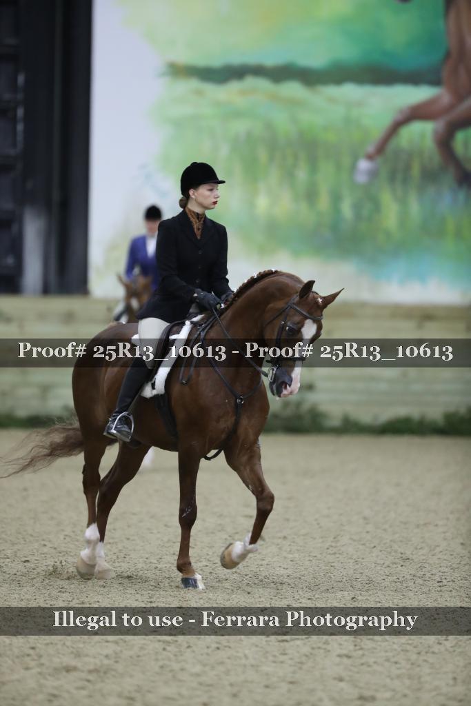 Proof Number 25R13_10613