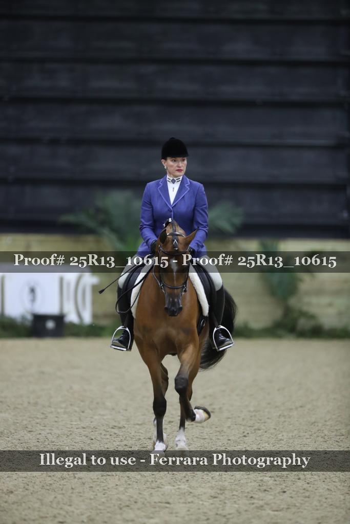 Proof Number 25R13_10615