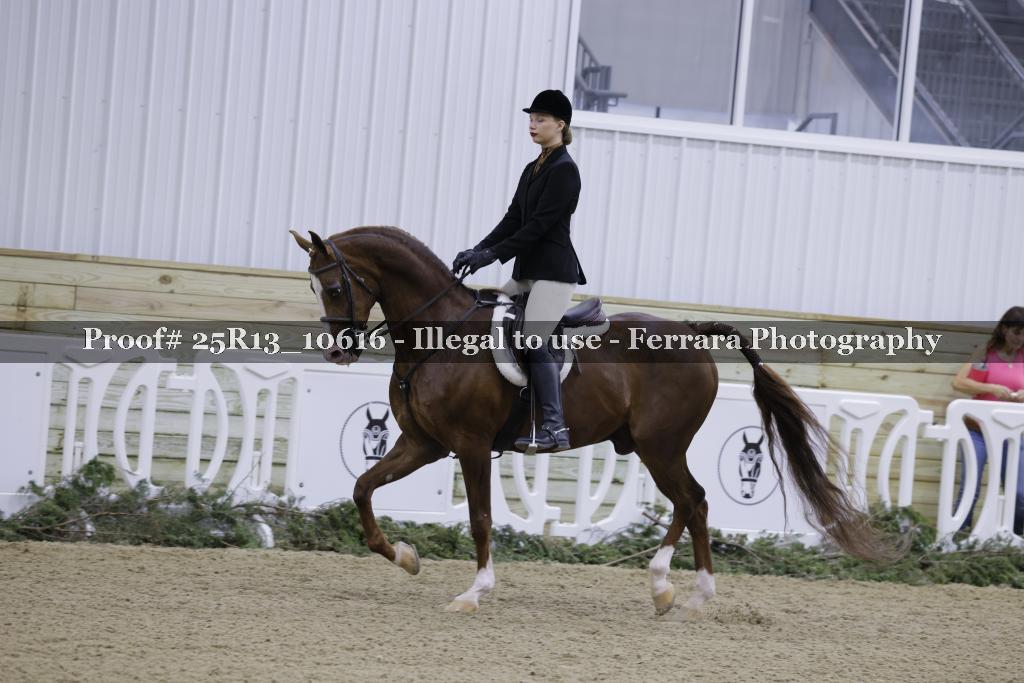 Proof Number 25R13_10616