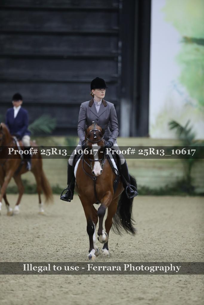 Proof Number 25R13_10617