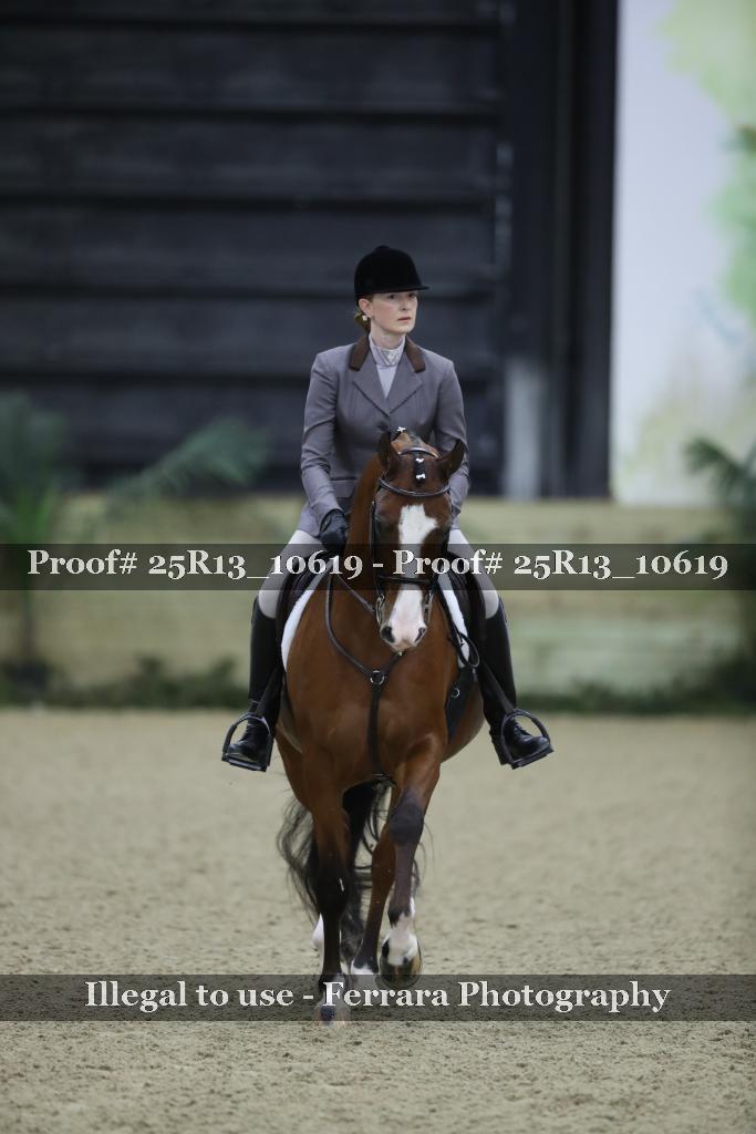 Proof Number 25R13_10619