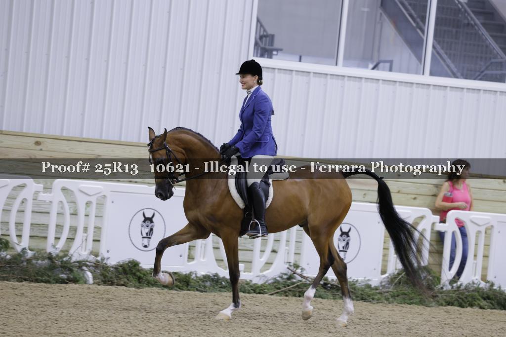 Proof Number 25R13_10621