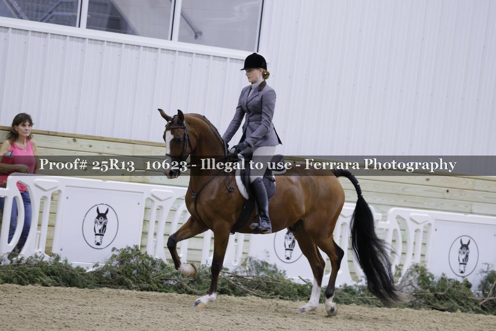 Proof Number 25R13_10623