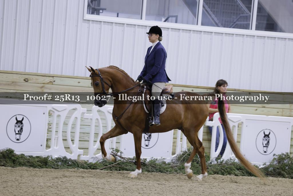 Proof Number 25R13_10627