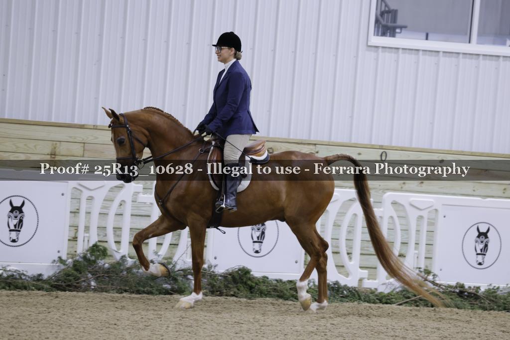 Proof Number 25R13_10628