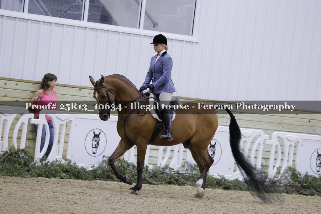 Proof Number 25R13_10634