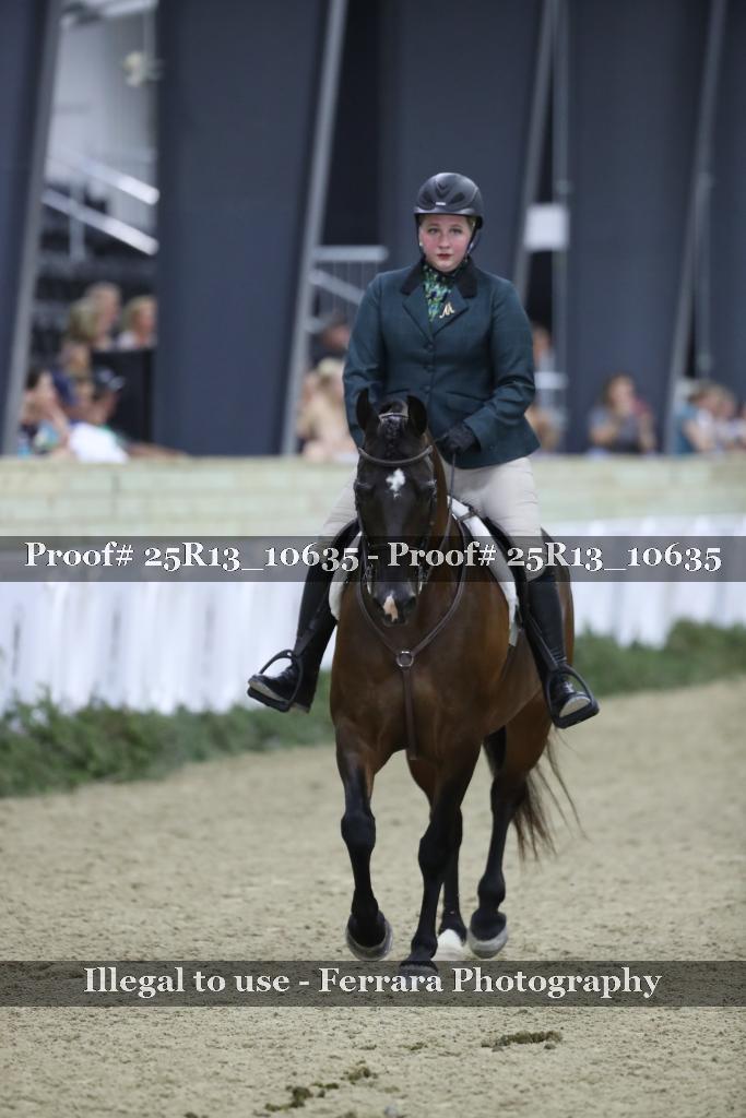 Proof Number 25R13_10635