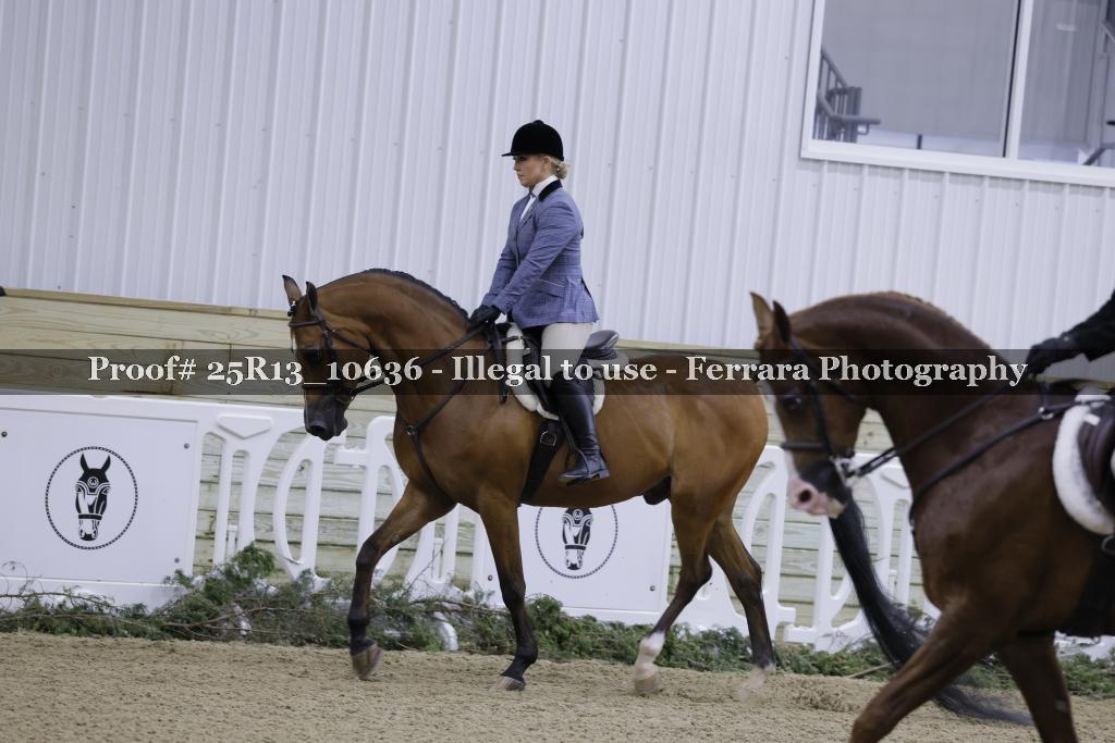 Proof Number 25R13_10636