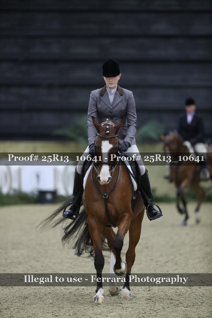 Proof Number 25R13_10641