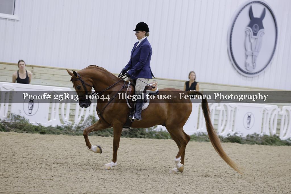 Proof Number 25R13_10644