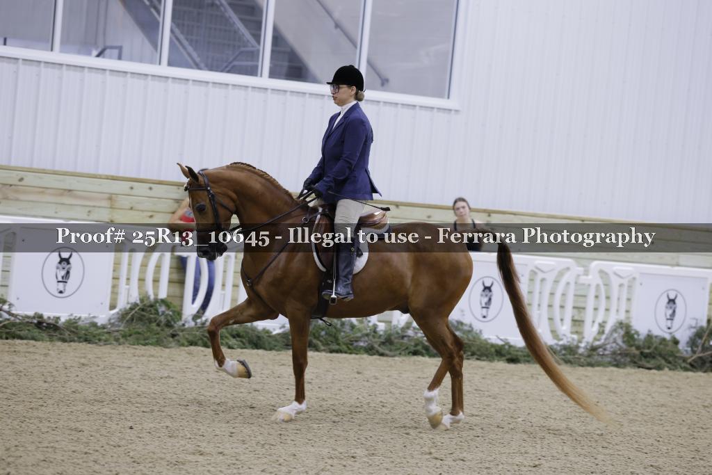 Proof Number 25R13_10645