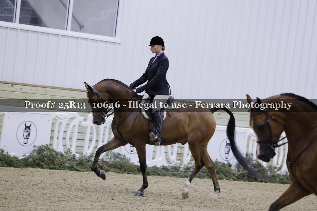 Proof Number 25R13_10646