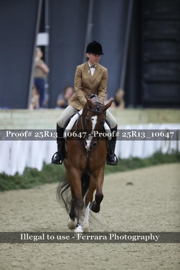 Proof Number 25R13_10647