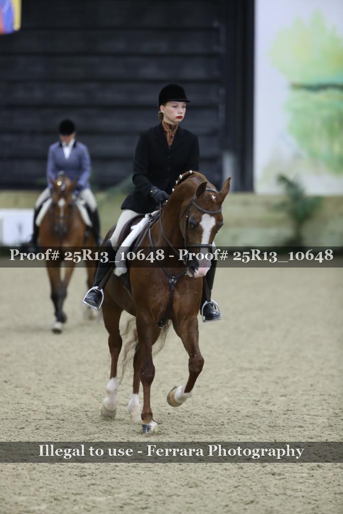 Proof Number 25R13_10648