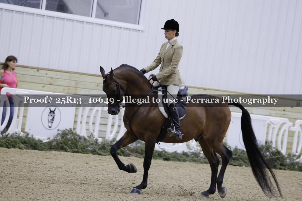 Proof Number 25R13_10649