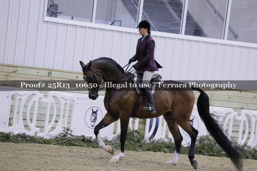 Proof Number 25R13_10650