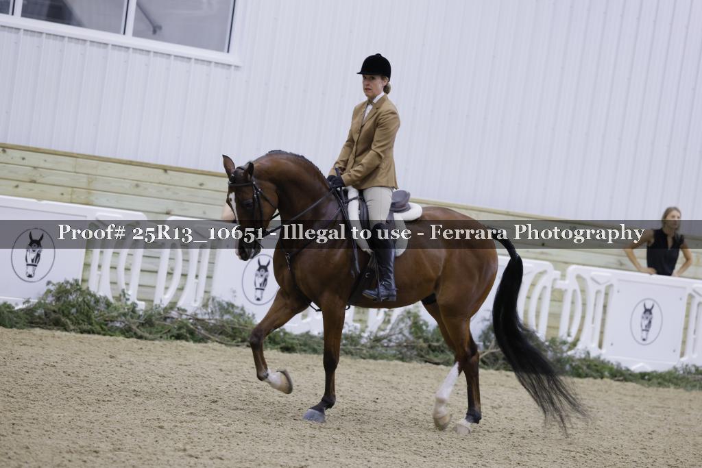 Proof Number 25R13_10651