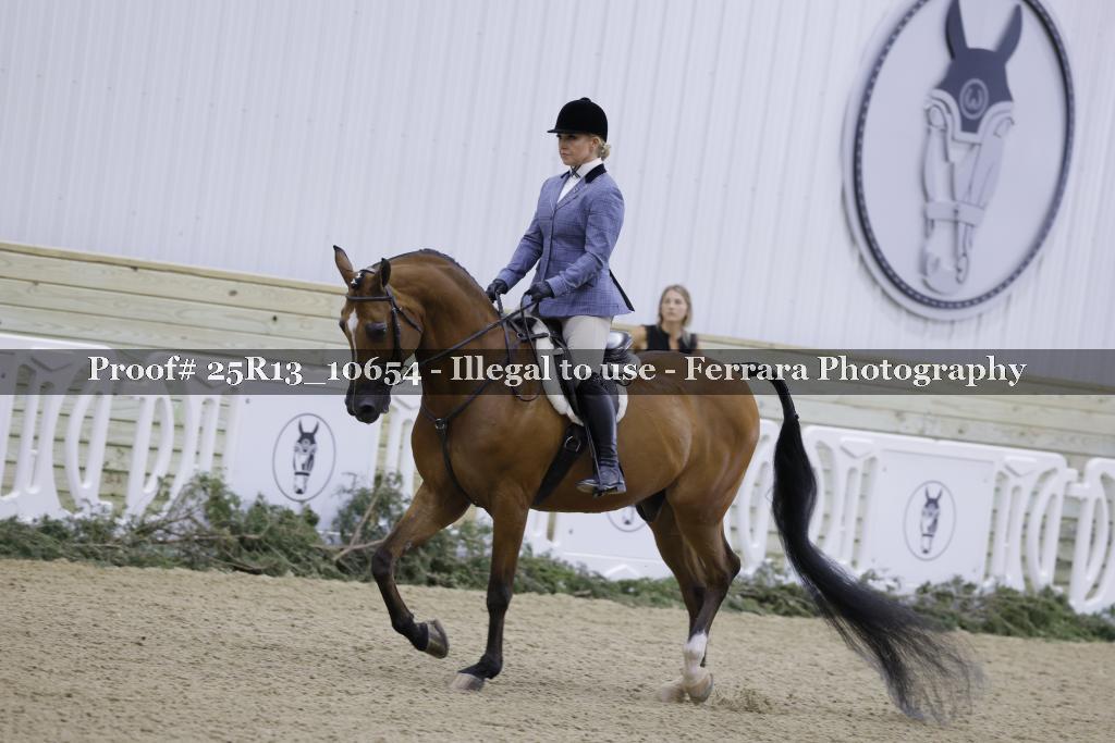 Proof Number 25R13_10654