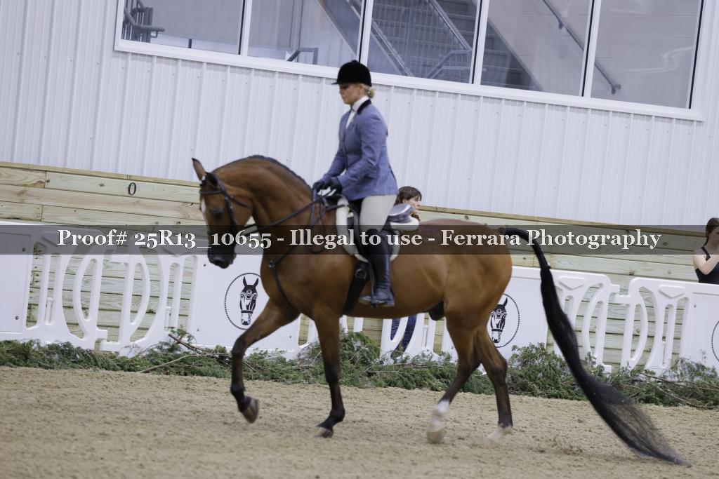 Proof Number 25R13_10655