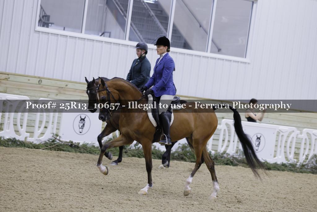 Proof Number 25R13_10657