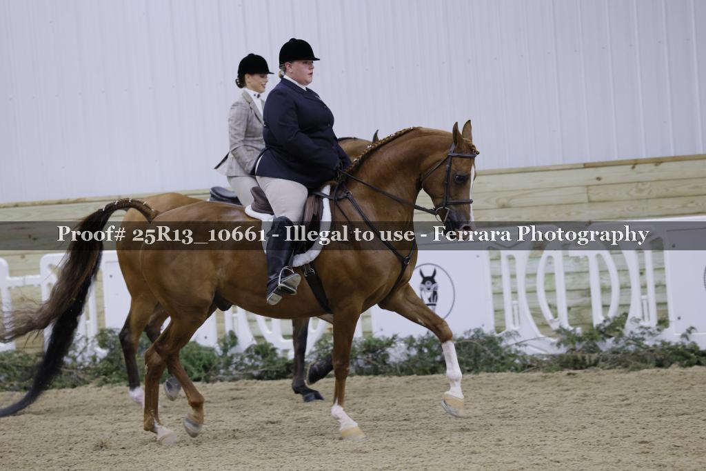 Proof Number 25R13_10661