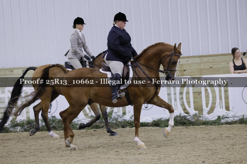 Proof Number 25R13_10662