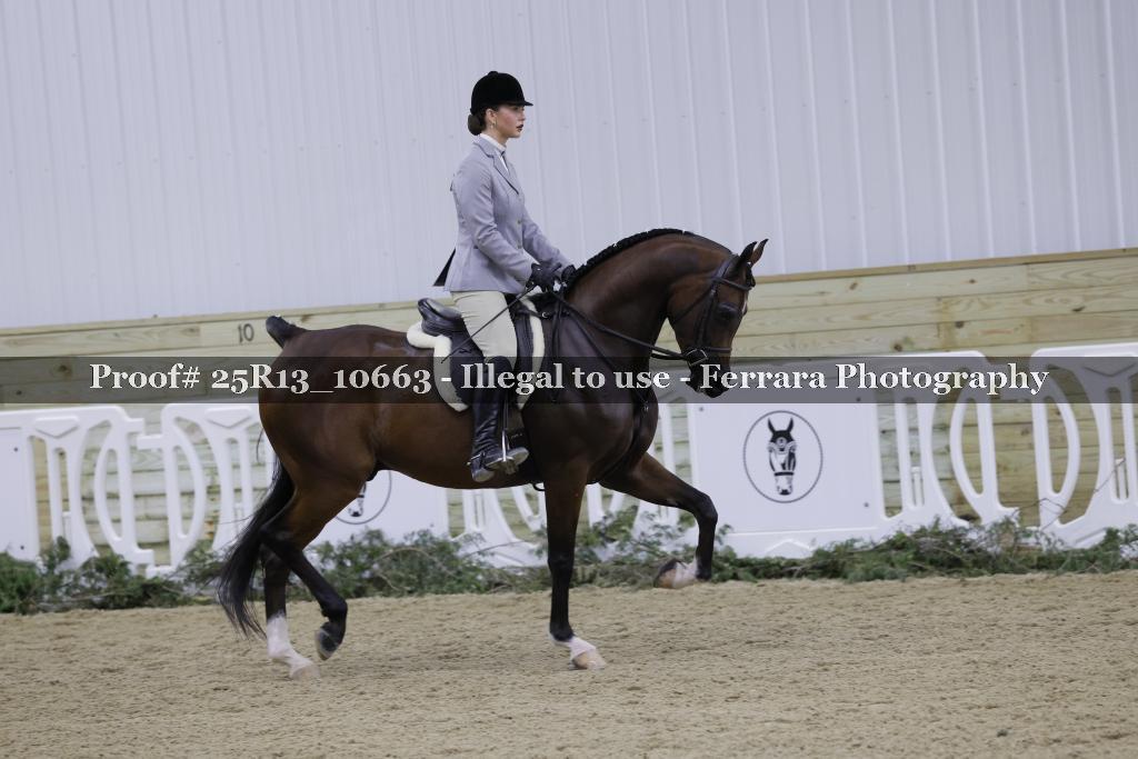 Proof Number 25R13_10663
