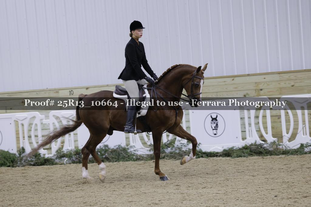 Proof Number 25R13_10664