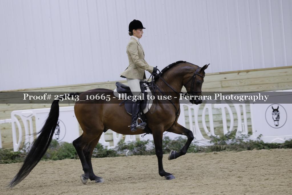 Proof Number 25R13_10665