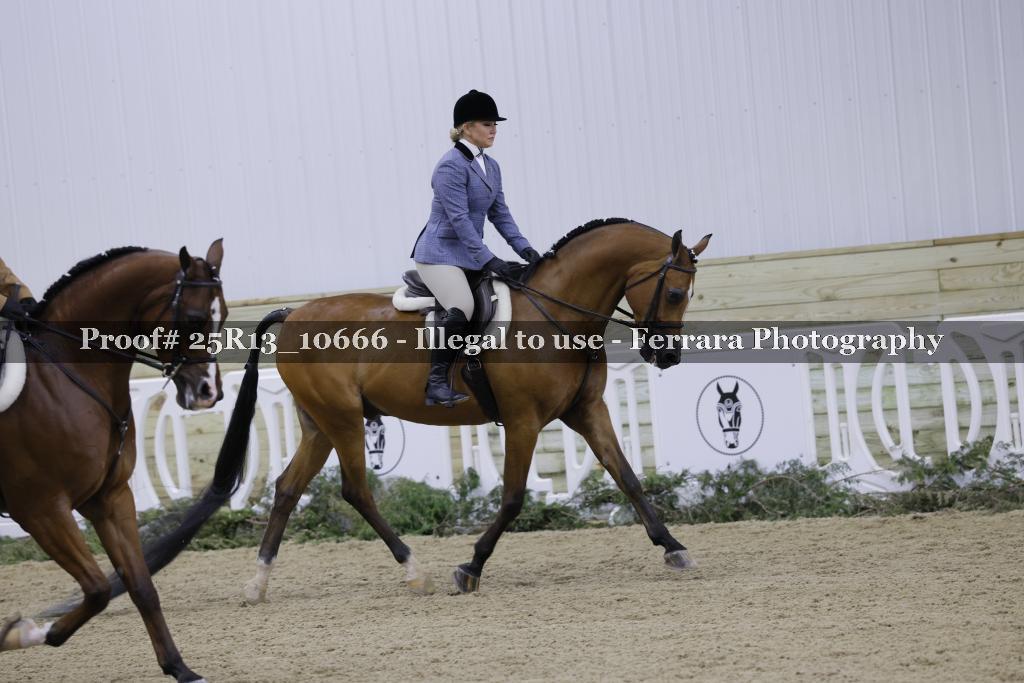 Proof Number 25R13_10666