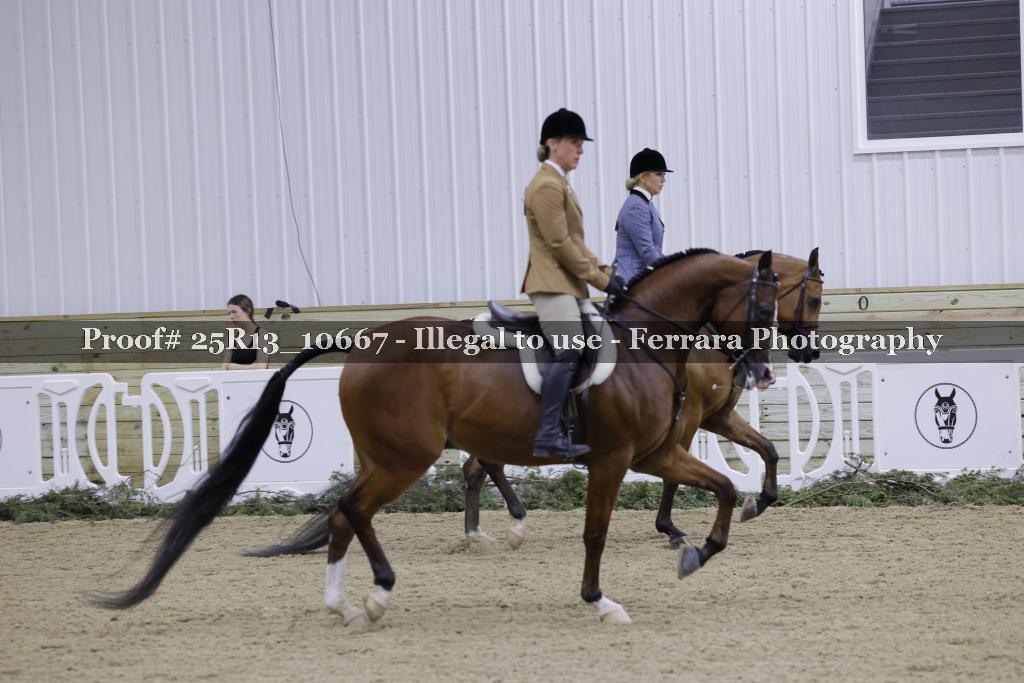 Proof Number 25R13_10667