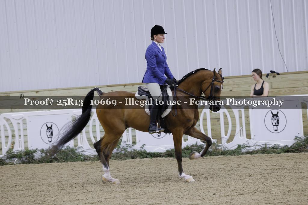 Proof Number 25R13_10669