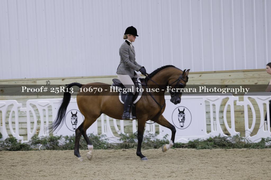 Proof Number 25R13_10670