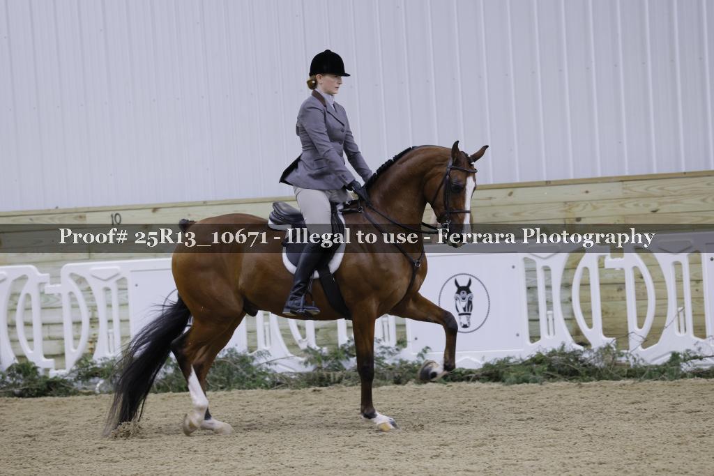 Proof Number 25R13_10671