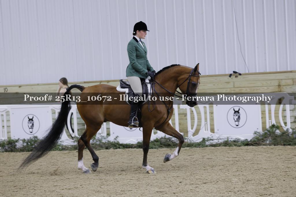 Proof Number 25R13_10672