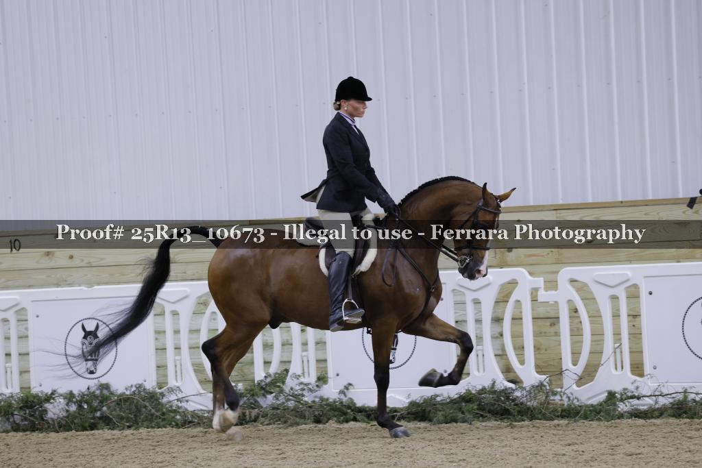 Proof Number 25R13_10673