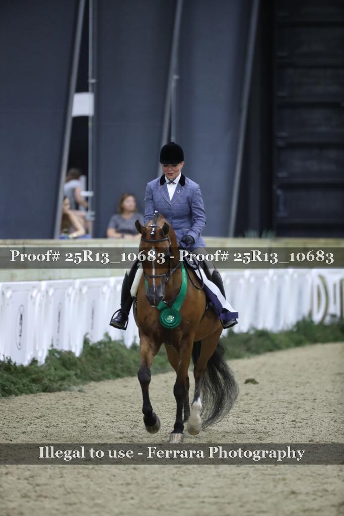 Proof Number 25R13_10683
