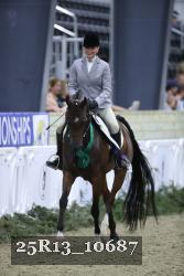 25R13_10687 thumbnail