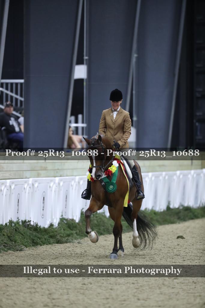 Proof Number 25R13_10688