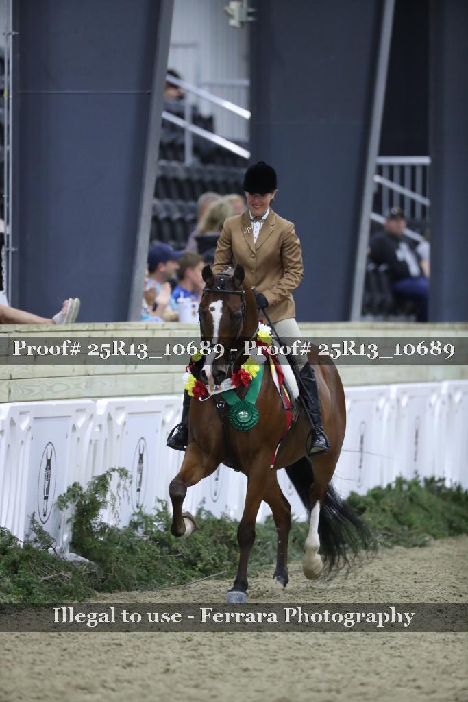 Proof Number 25R13_10689